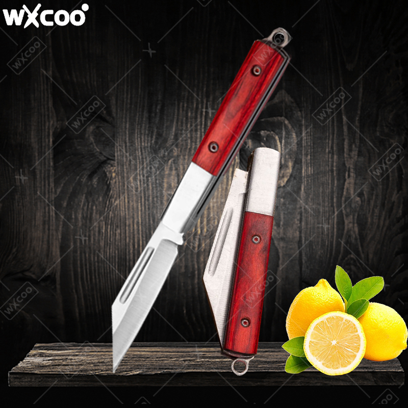 Coltello tascabile in acciaio  - Kitchen Gadgets Latest recensione e prezzo